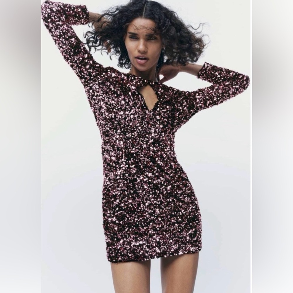 Zara dark pink Sequin Long Sleeve Dress